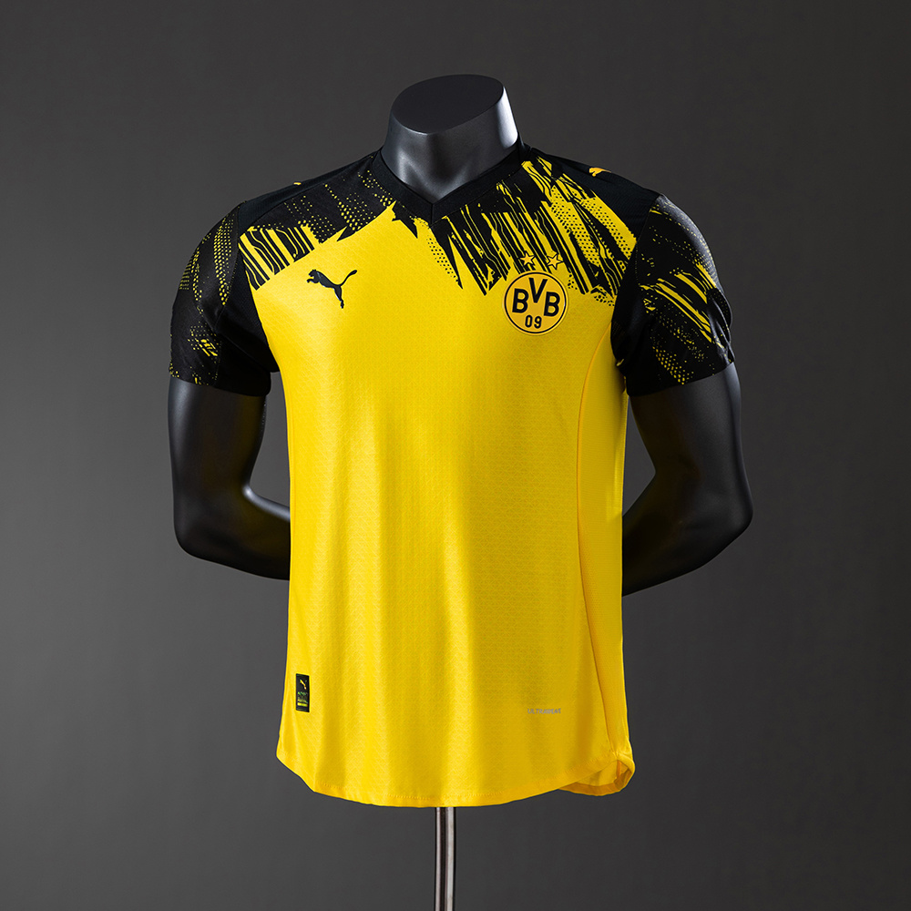 Borussia Dortmund Principal Player 25/26