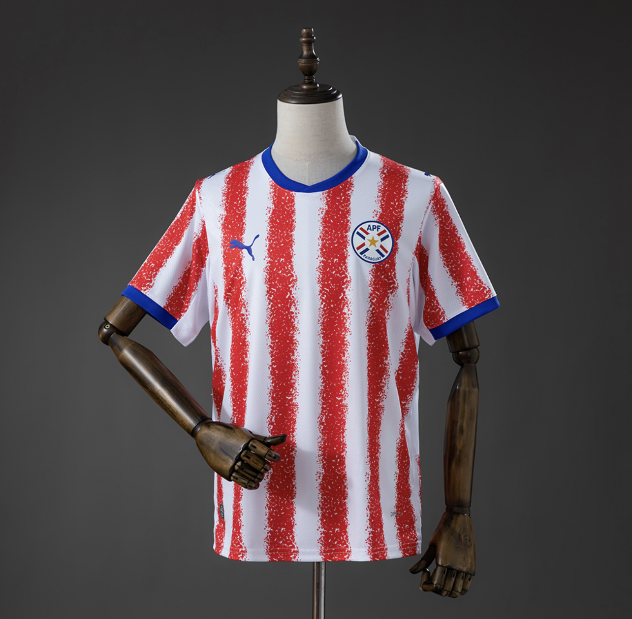 Paraguaia Principal 2026